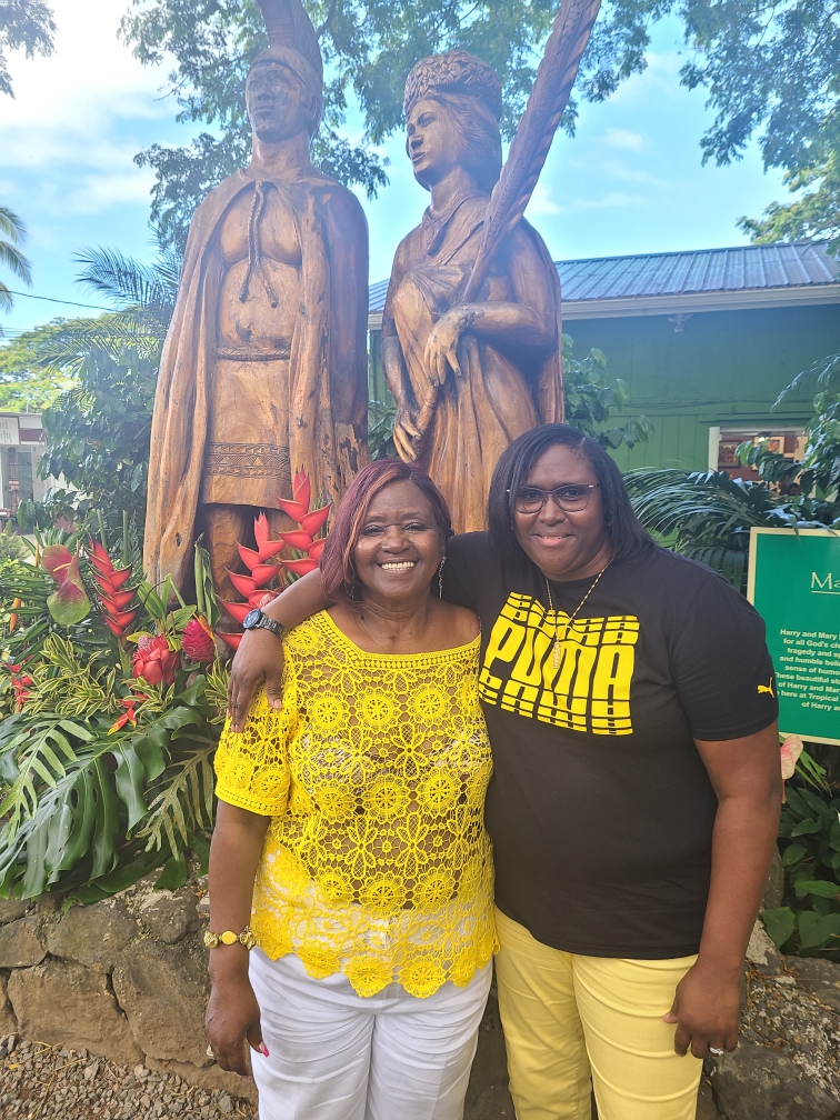 Macadamia Nut Farm near Kualoa Ranch